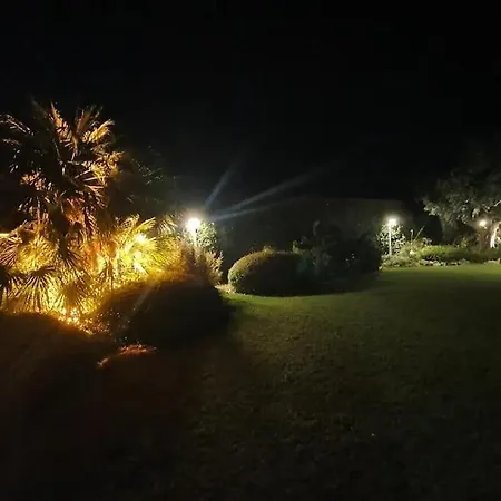 Eden Relax-2